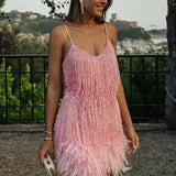 Samba - Elegants Liikumises